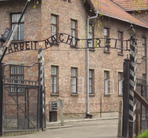 auschwitz mengle experiments